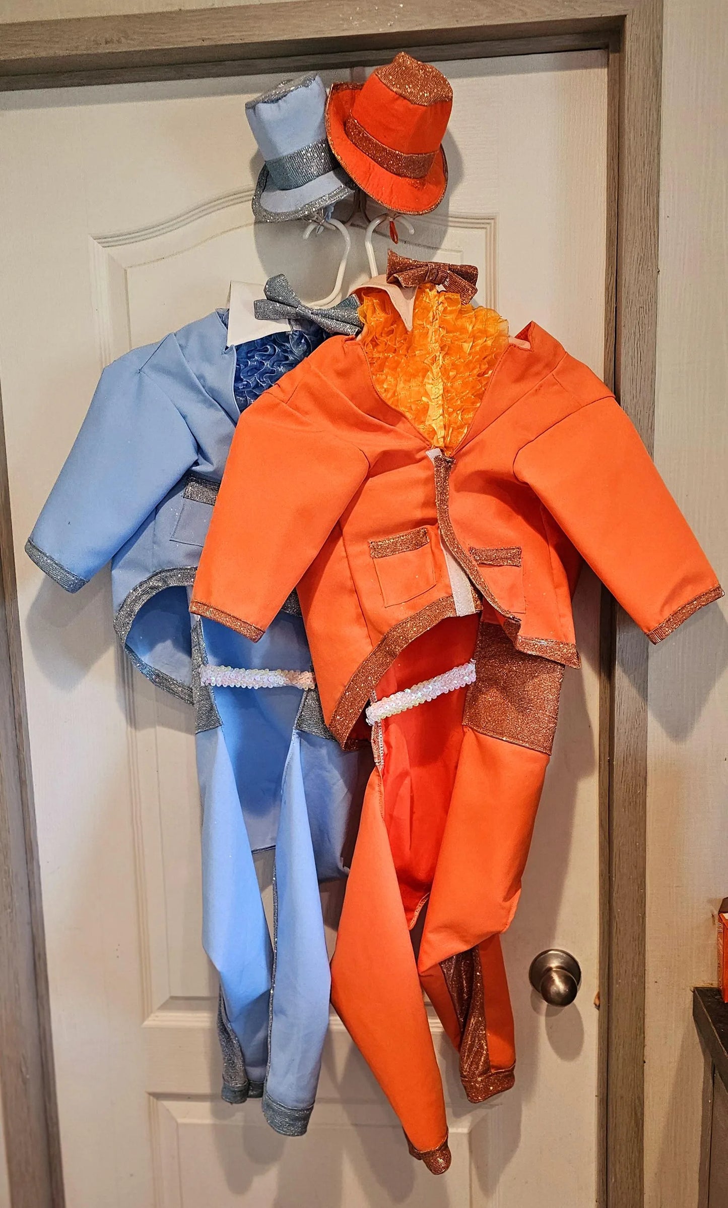 - Dumb and Dumber pet suits, Harry and Llyod pet costume, dumb and dumber glitter dog costume, dumb and dumber cat costume, pet suit