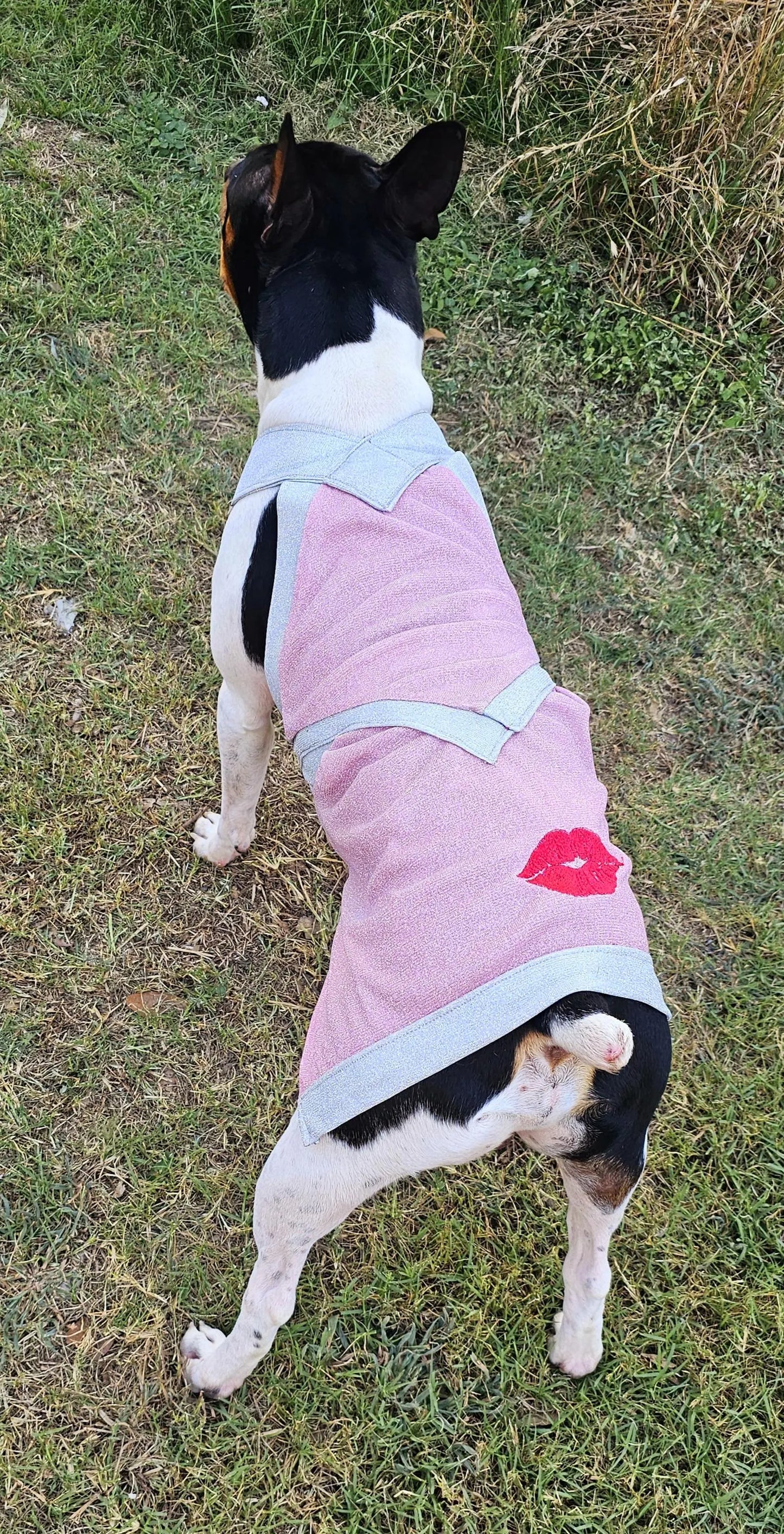 -  Sabrina Carpenter pet costume, Sabrina Juno pet costume, Sabrina Carpenter glitter dog costume, Sabrina Carpenter cat costume, short and sweet pet