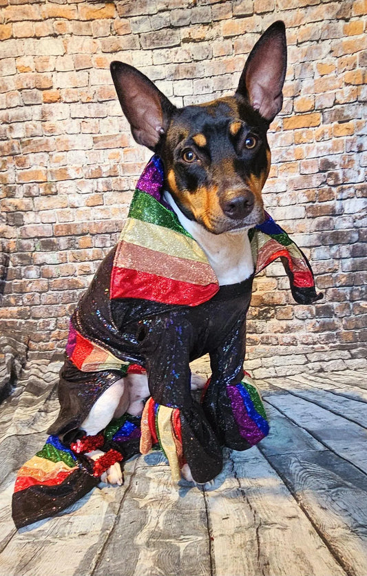 Glitter rainbow pride pet body suit, rainbow pet body suit, gay pride pet body suit, pride dog body suit, pride cat body suit, pride pet clothes