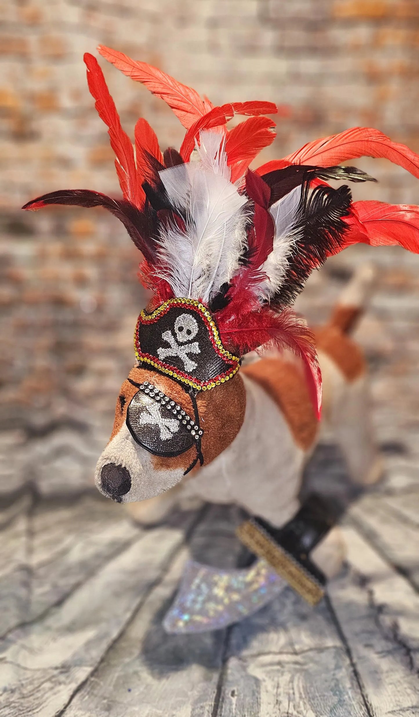 Pet Pirate hat, pet pirate sword, pet pirate patch, pet pirate accessories, dog pirate hat. Dog pirate sword, dog pirate patch,  pirate pet