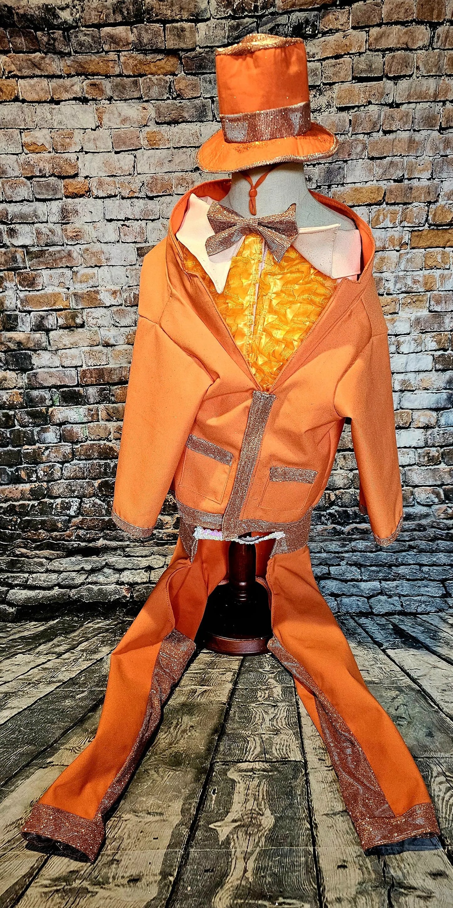 - Dumb and Dumber pet suits, Harry and Llyod pet costume, dumb and dumber glitter dog costume, dumb and dumber cat costume, pet suit