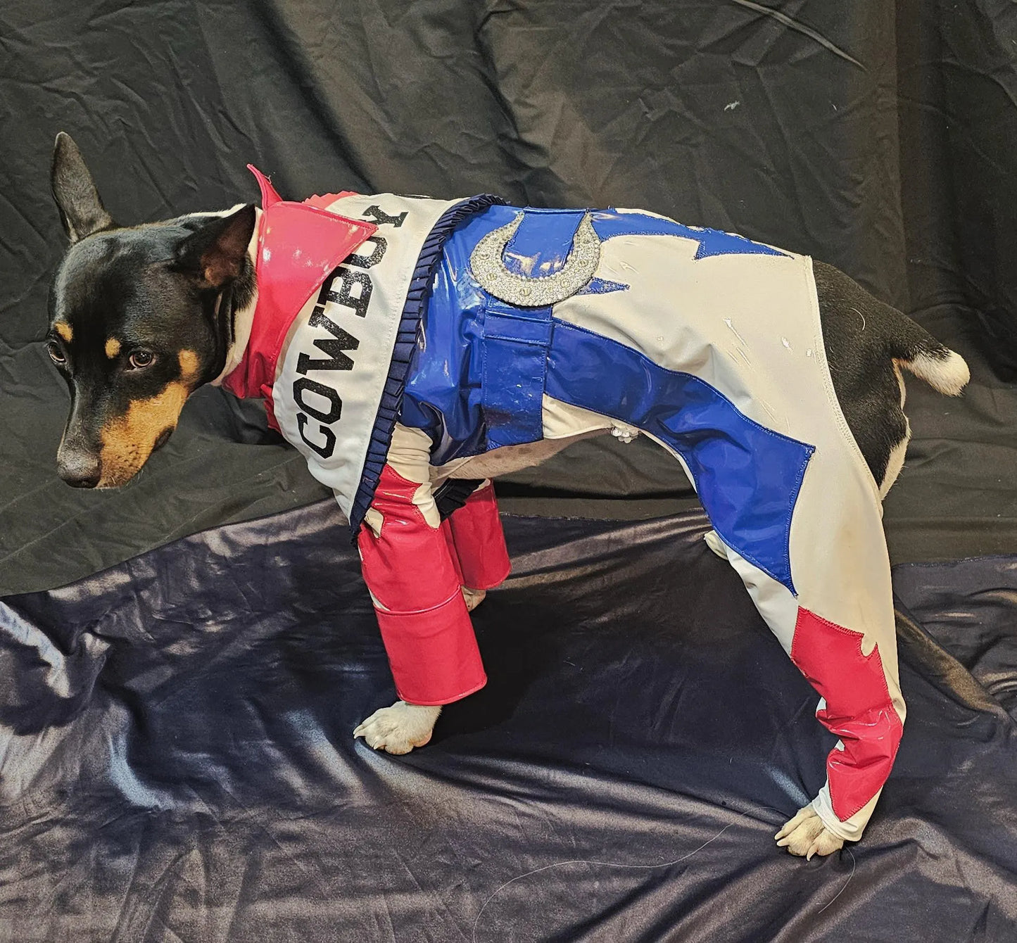 -  Beyonce pet costume, Beyounce dog costume, Cowboy carter pet costume