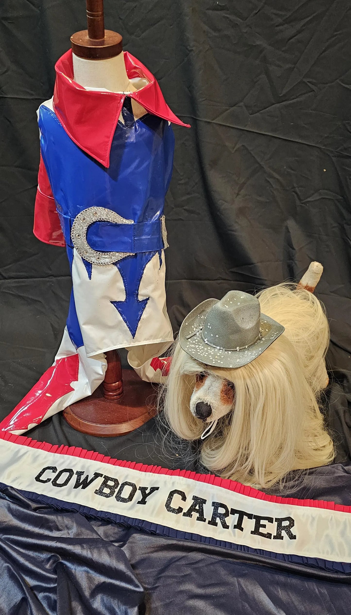 -  Beyonce pet costume, Beyounce dog costume, Cowboy carter pet costume