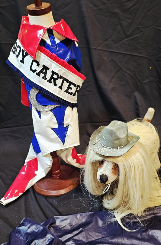-  Beyonce pet costume, Beyounce dog costume, Cowboy carter pet costume