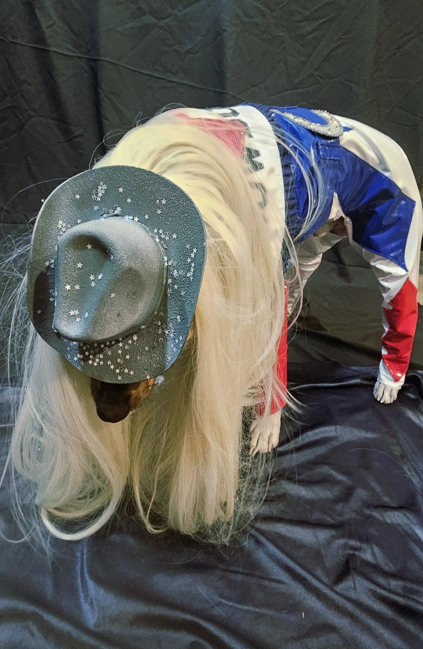 -  Beyonce pet costume, Beyounce dog costume, Cowboy carter pet costume