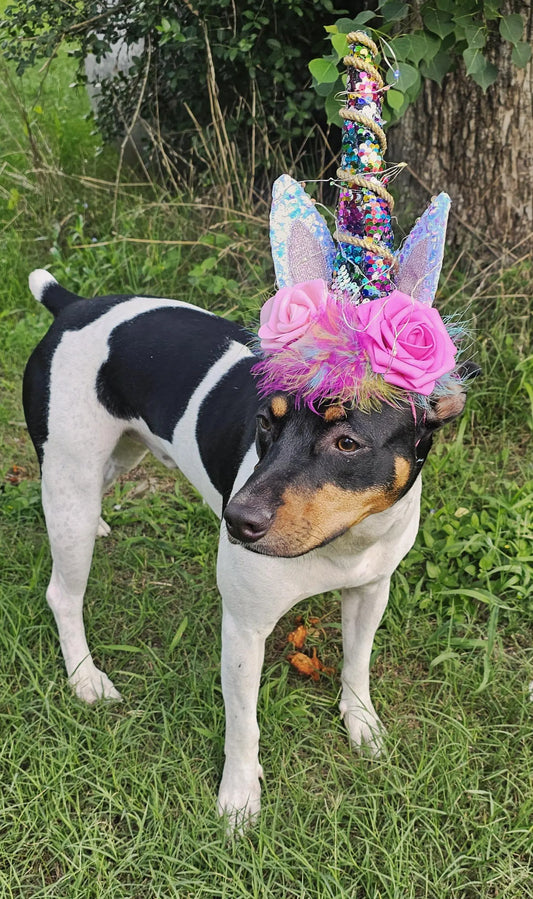- Unicorn light up horn for pets,unicorn pet horn, rainbow unicorn pet horn