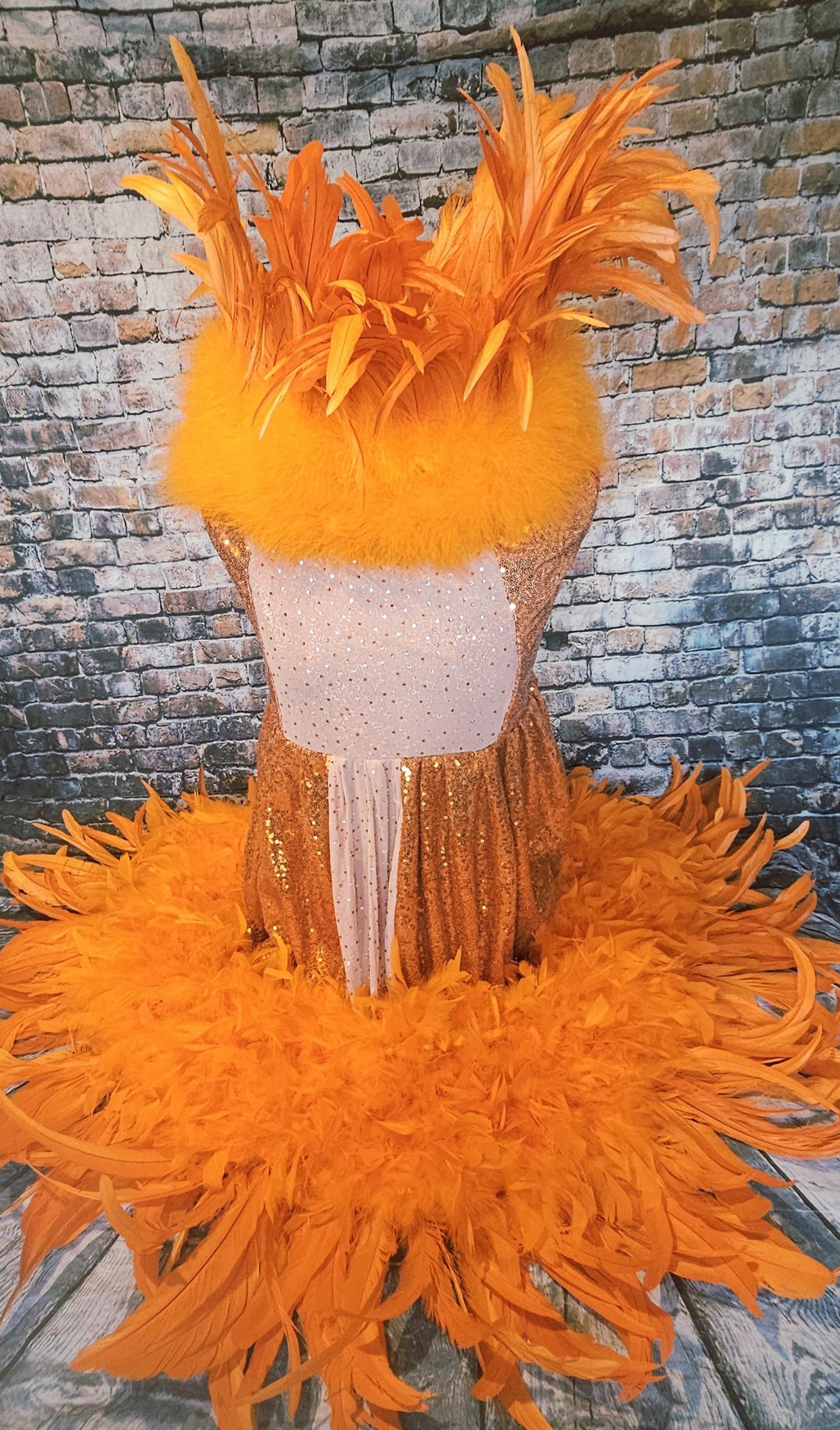 - Kendall Jenner Pet Costume, Mutt gala pet costume, orange feather pet dress, orange feather dog dress, mutt gala dog dress, red carpet pet