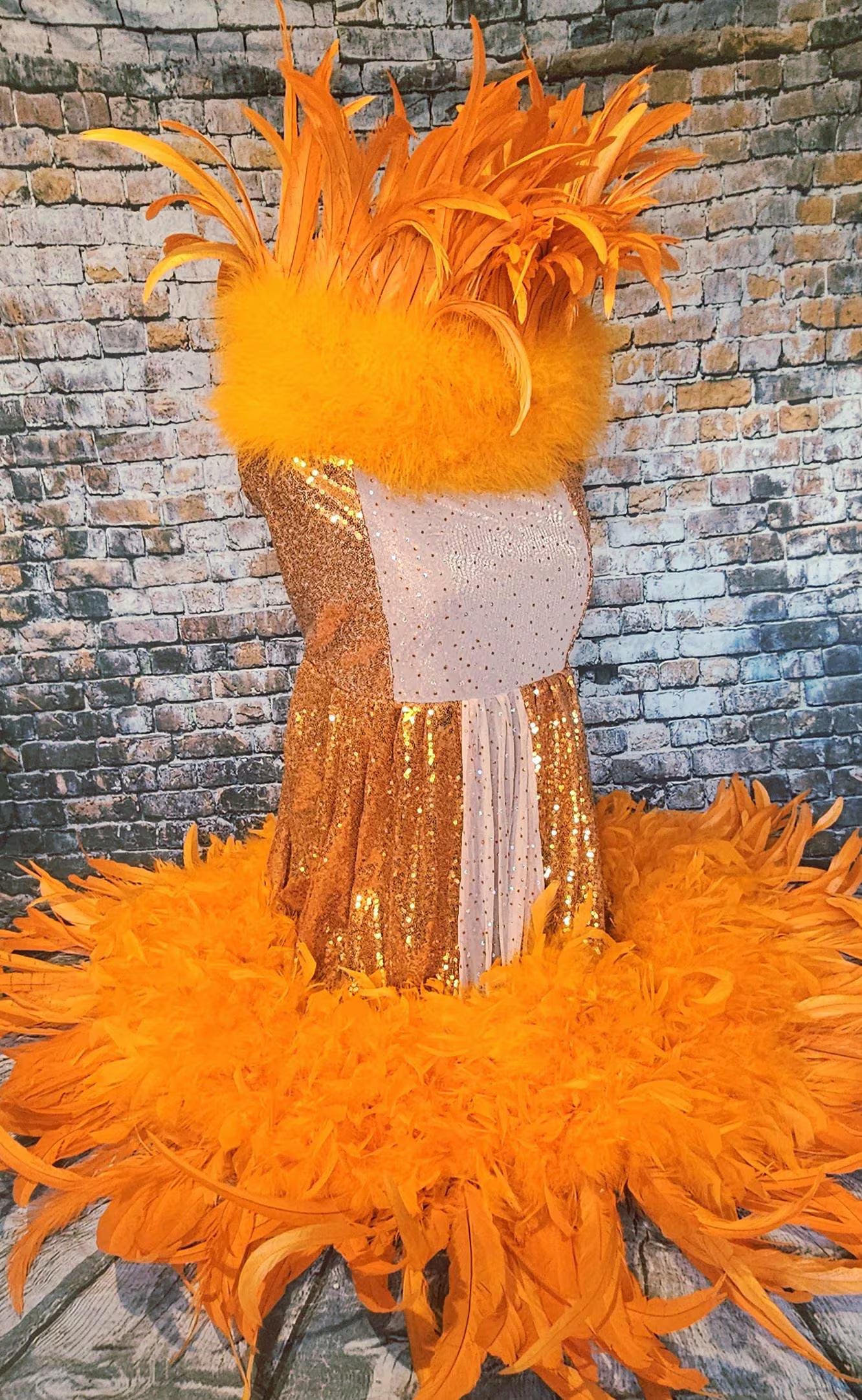 - Kendall Jenner Pet Costume, Mutt gala pet costume, orange feather pet dress, orange feather dog dress, mutt gala dog dress, red carpet pet