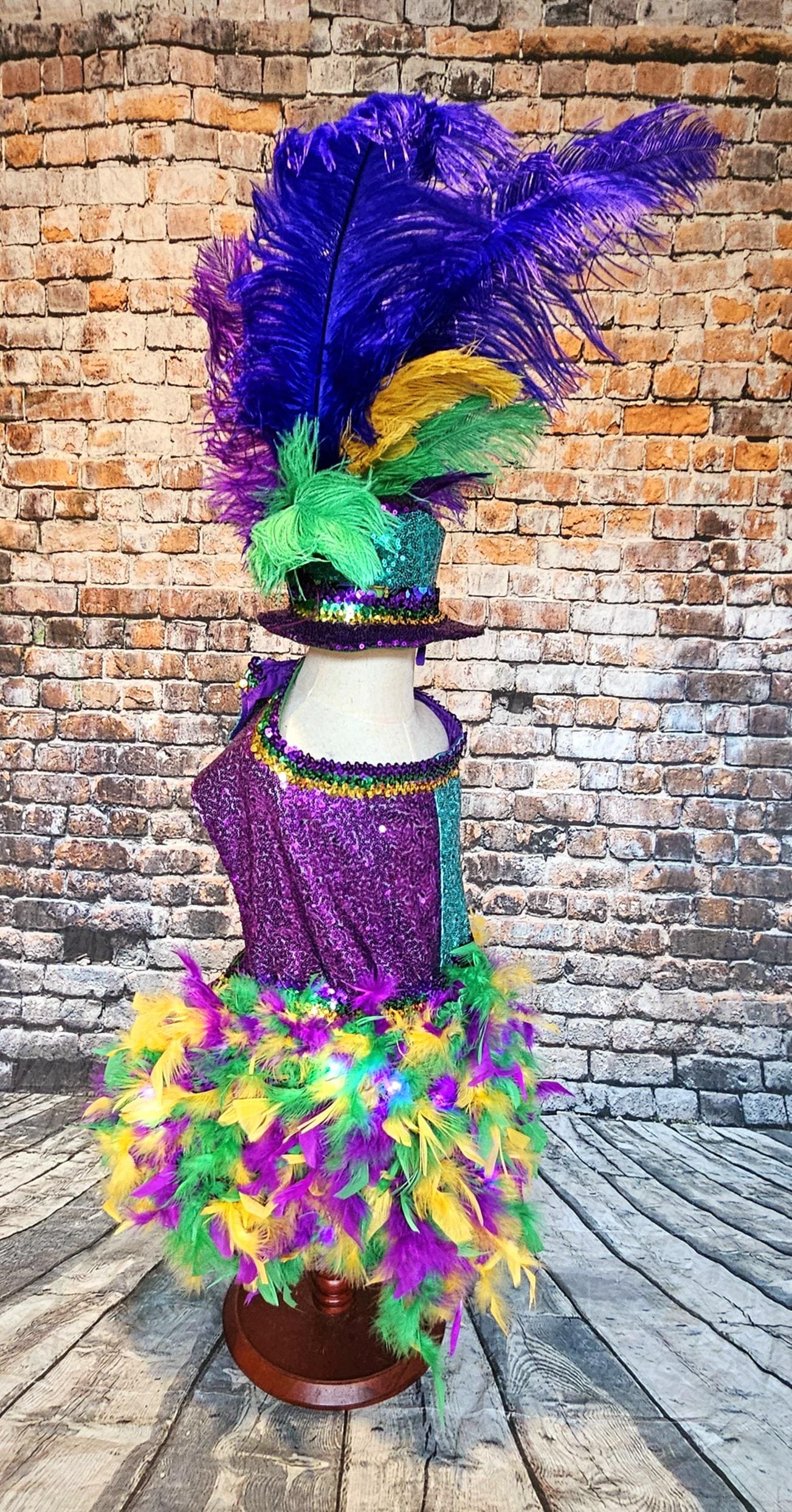 - Mardi Gras light up pet dress, mardi gras pet costume, mardi gras dog costume, fat tuesday pet costume, carnival pet costume, mardi gras cat