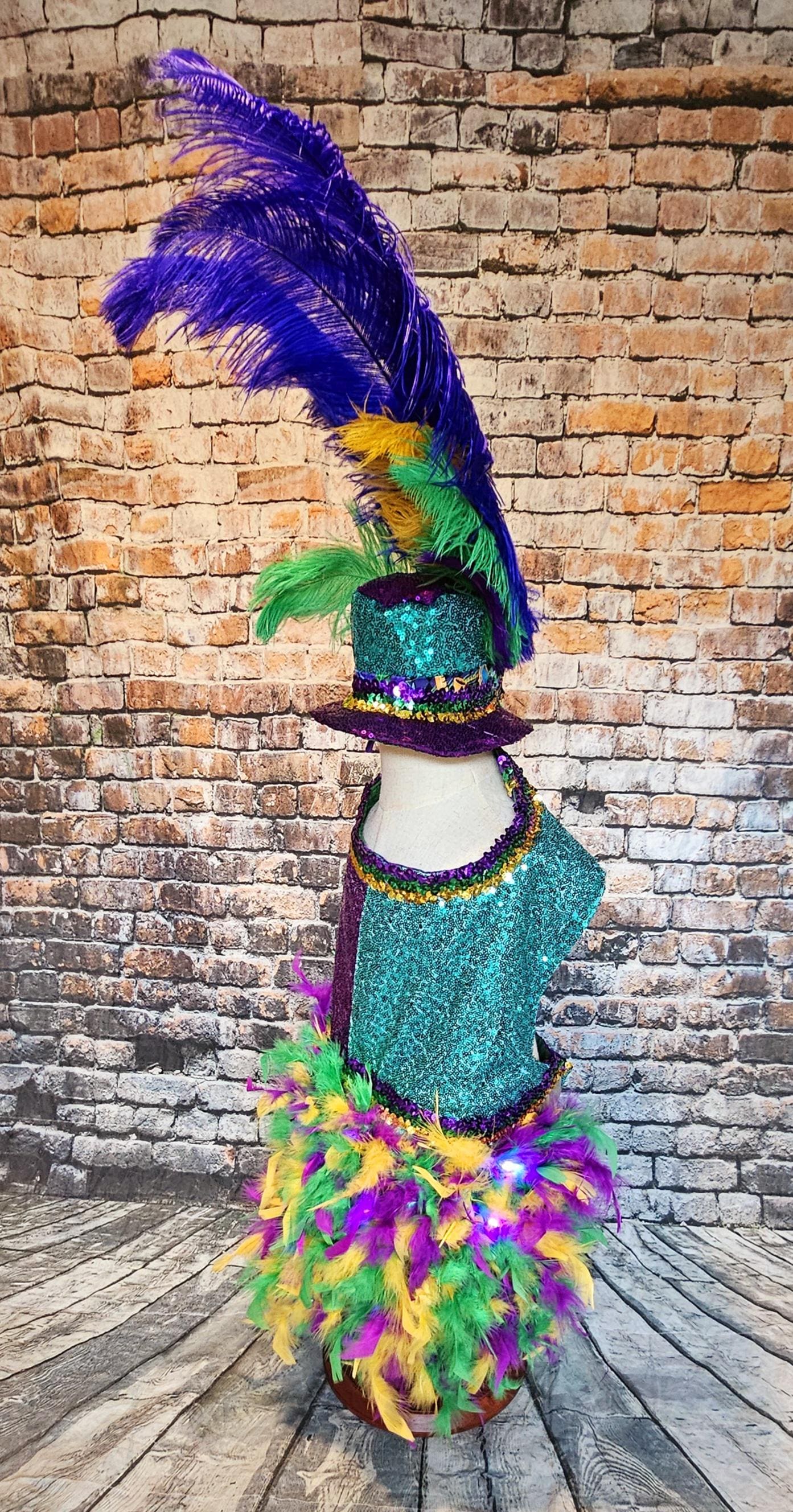 - Mardi Gras light up pet dress, mardi gras pet costume, mardi gras dog costume, fat tuesday pet costume, carnival pet costume, mardi gras cat