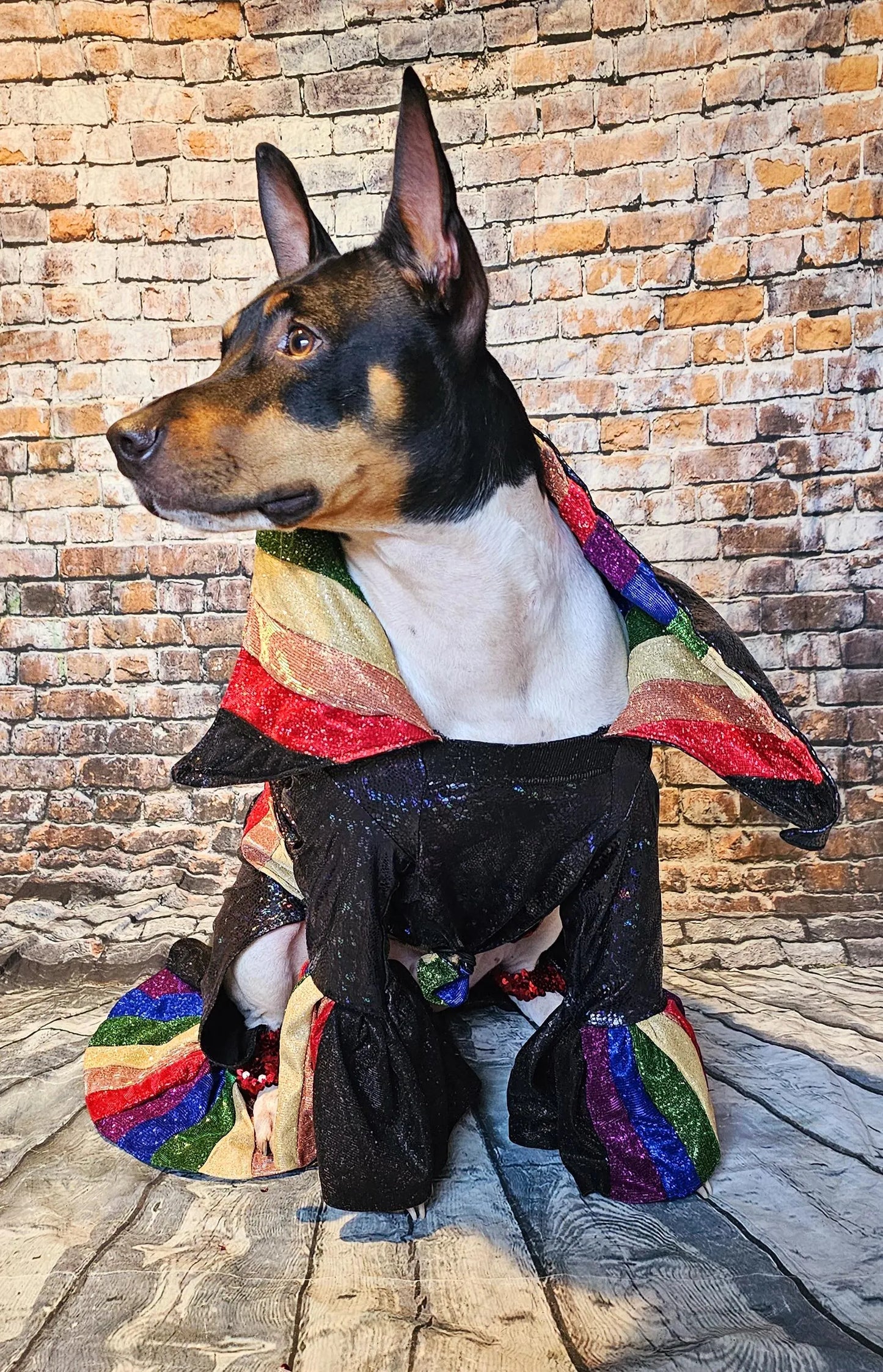 Glitter rainbow pride pet body suit, rainbow pet body suit, gay pride pet body suit, pride dog body suit, pride cat body suit, pride pet clothes