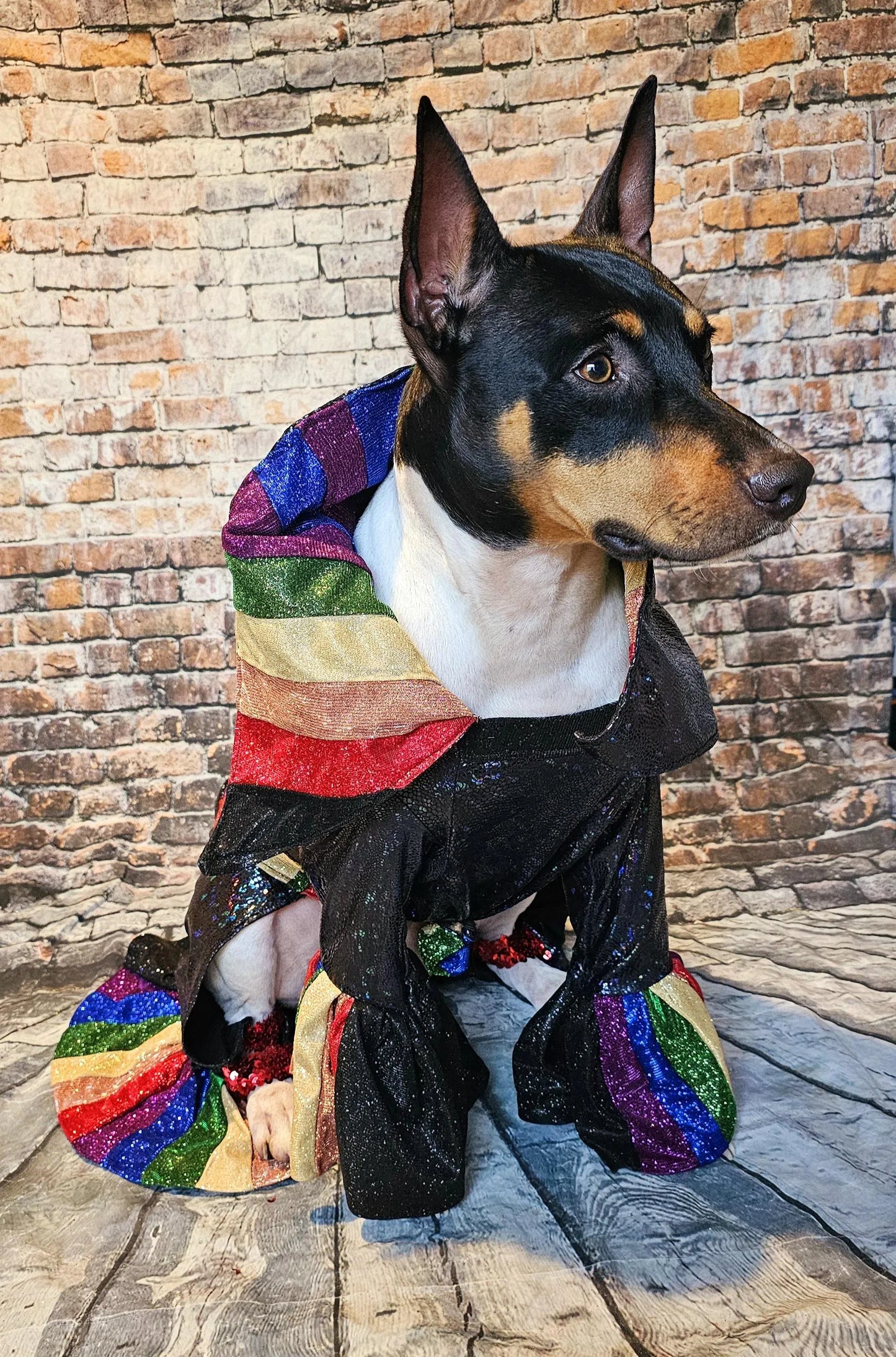 Glitter rainbow pride pet body suit, rainbow pet body suit, gay pride pet body suit, pride dog body suit, pride cat body suit, pride pet clothes