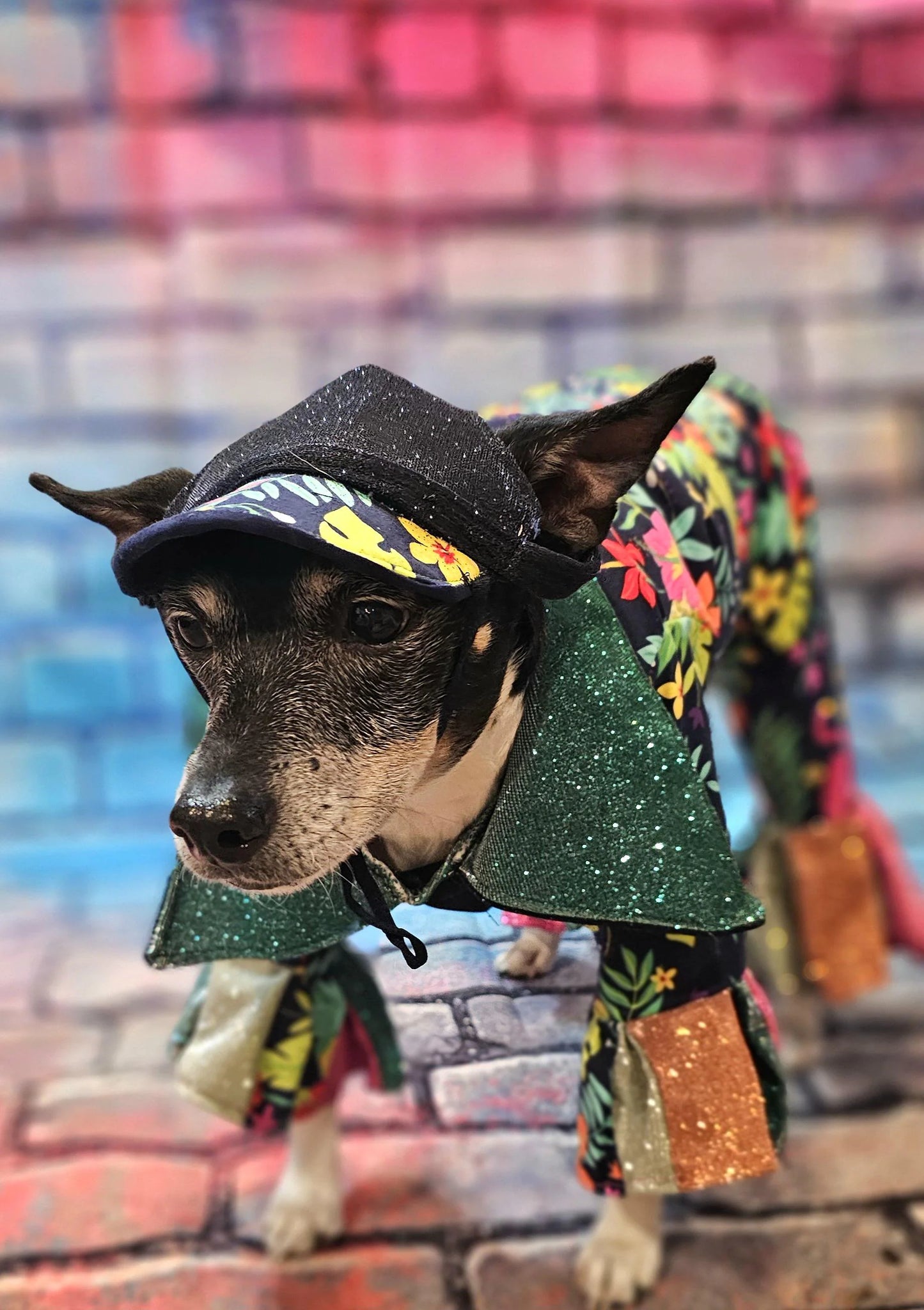 - Hawaiian pet costume, Hawaiian sequin dog costume, Tropical pet costume
