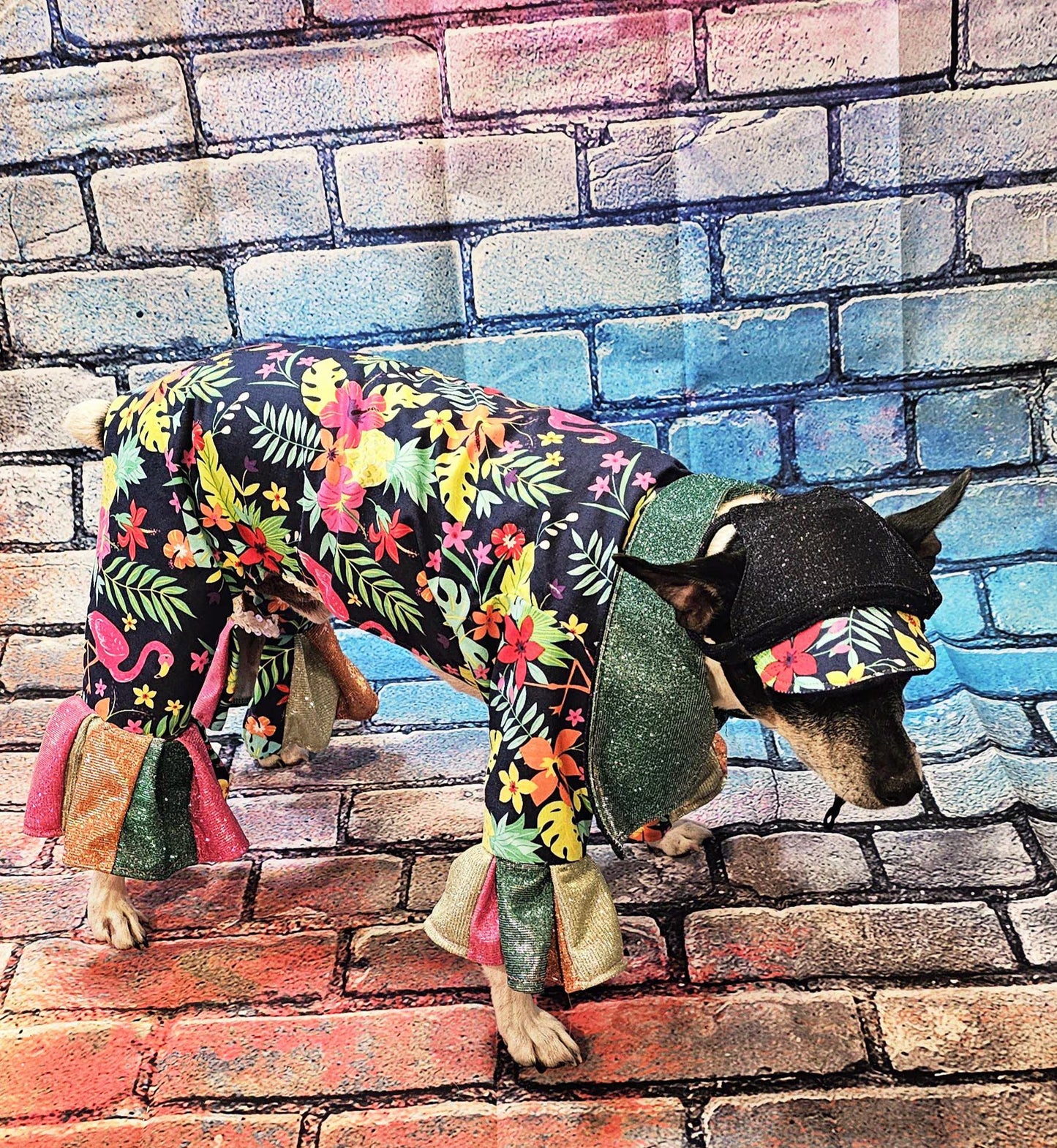 - Hawaiian pet costume, Hawaiian sequin dog costume, Tropical pet costume