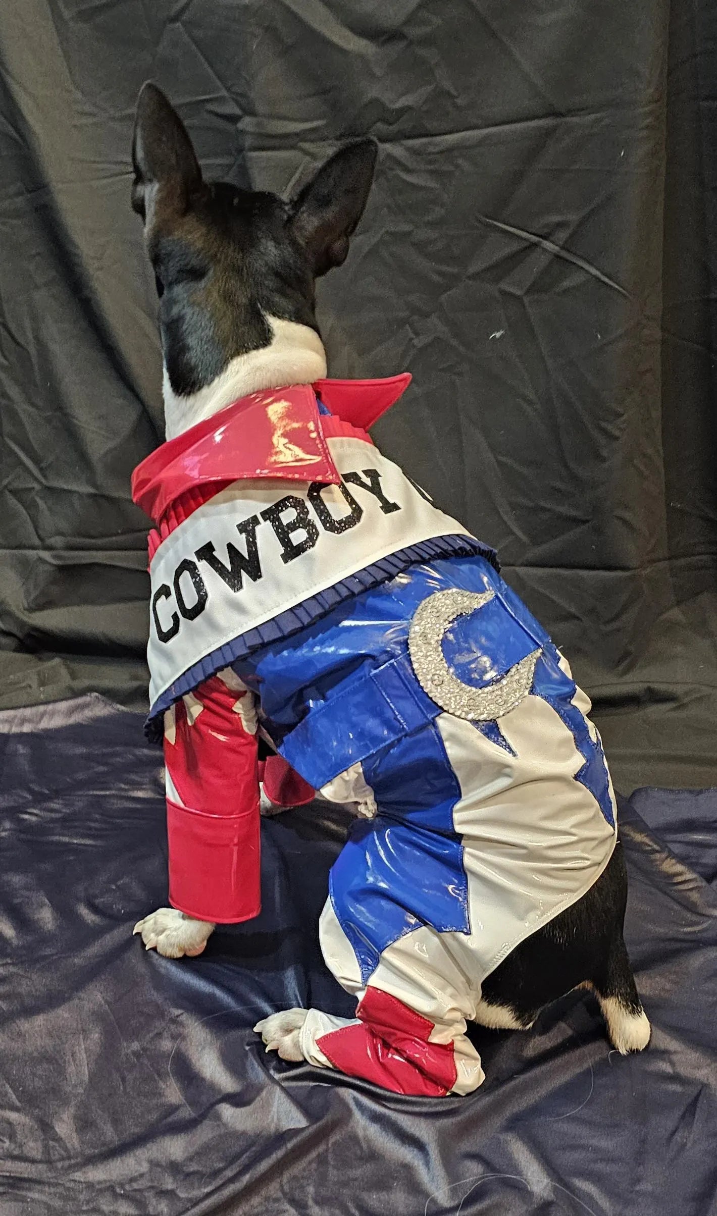 -  Beyonce pet costume, Beyounce dog costume, Cowboy carter pet costume