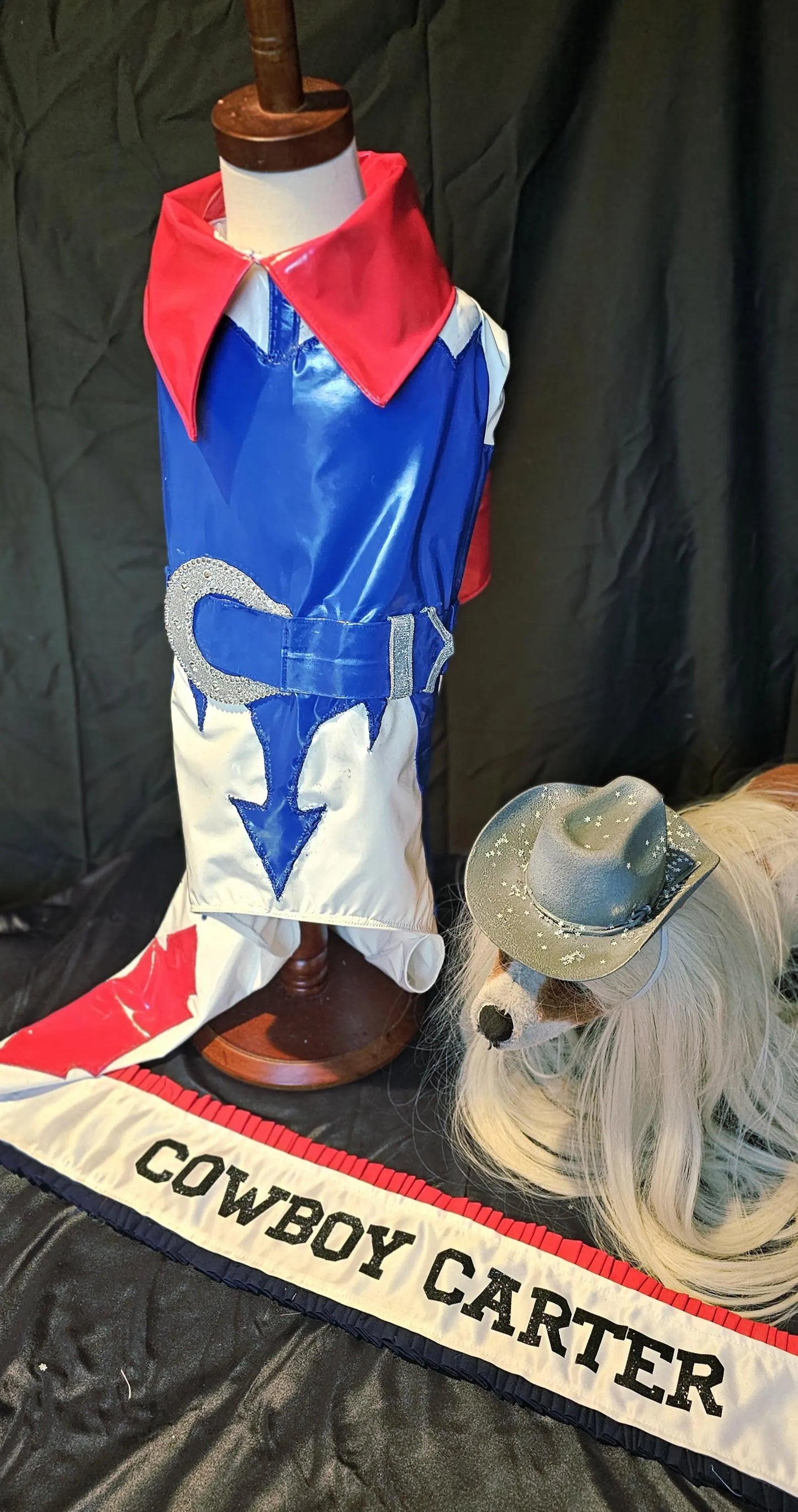 -  Beyonce pet costume, Beyounce dog costume, Cowboy carter pet costume