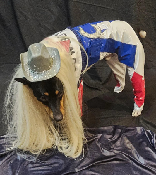 -  Beyonce pet costume, Beyounce dog costume, Cowboy carter pet costume
