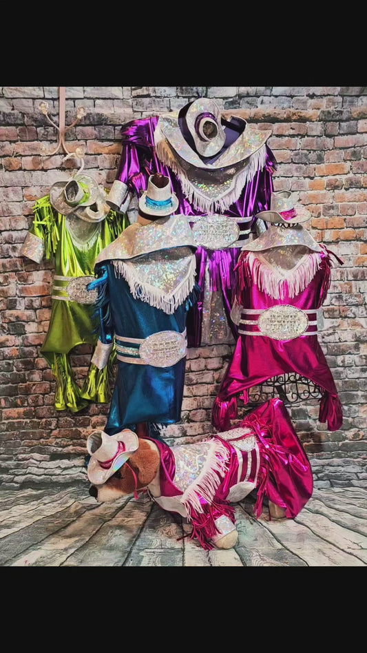 Metallic fringe country western pet body suit costume, fringe rhinestone pet costume, Rhinestone cowboy pet body suit