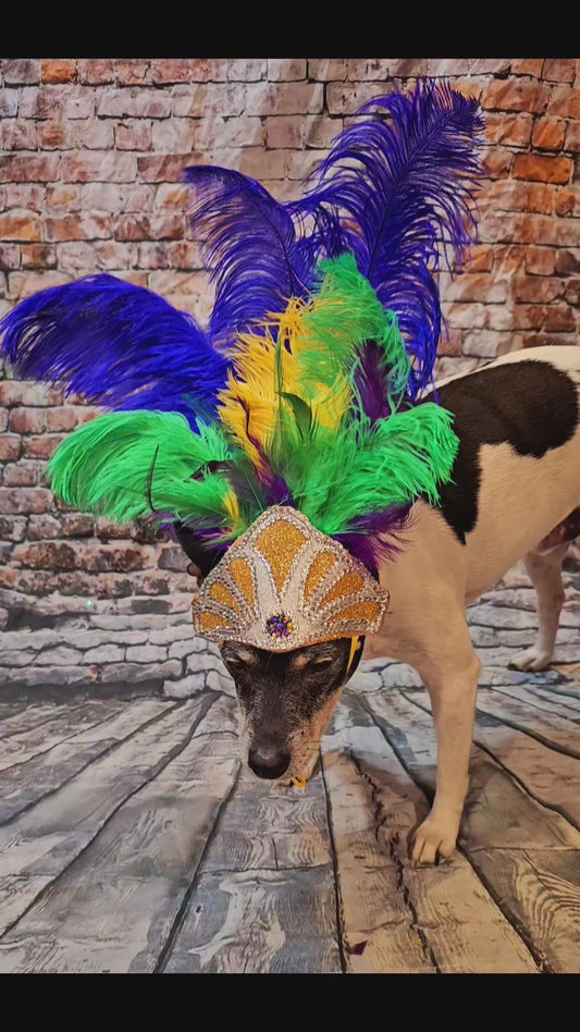 Mardi Gras pet feather showgirl headress, carnival feather pet headress