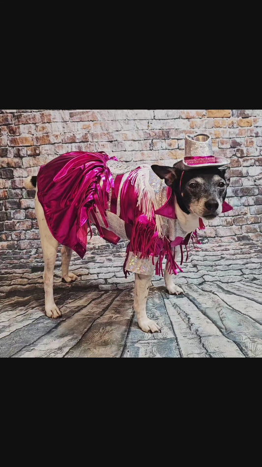 Metallic fringe country western pet dress costume, Rhinestone cowgirl fringe pet dress costume