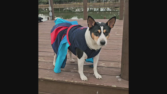 H-Town Texans color rush pet dress, Texans pet dress, Glitter Texans pet dress