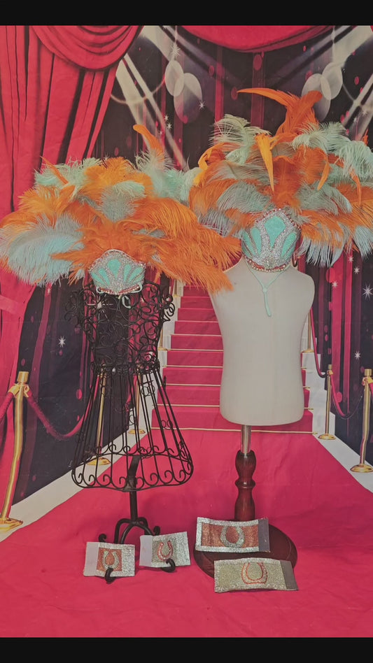 Showgirl Pet Headress, feather headress for dogs