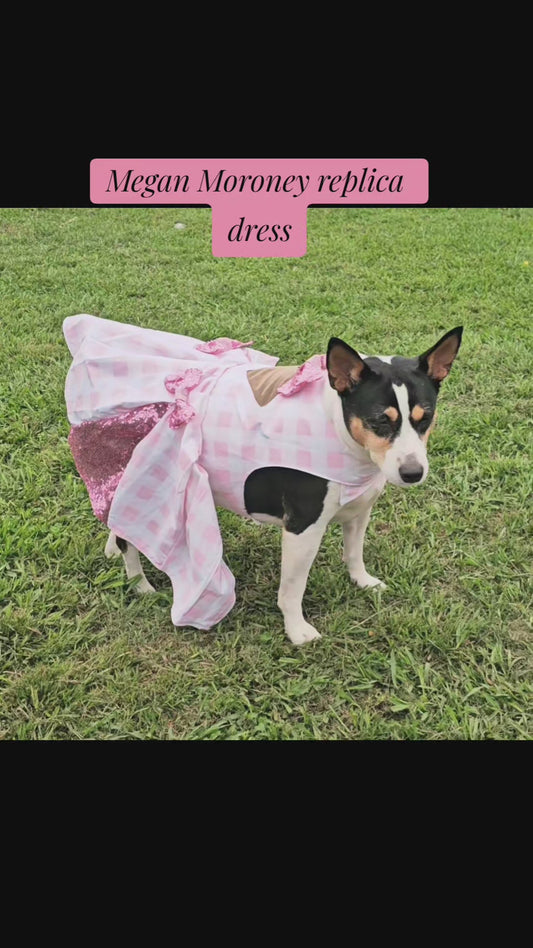Pink gingham pet dress, megan moroney replica pet dress