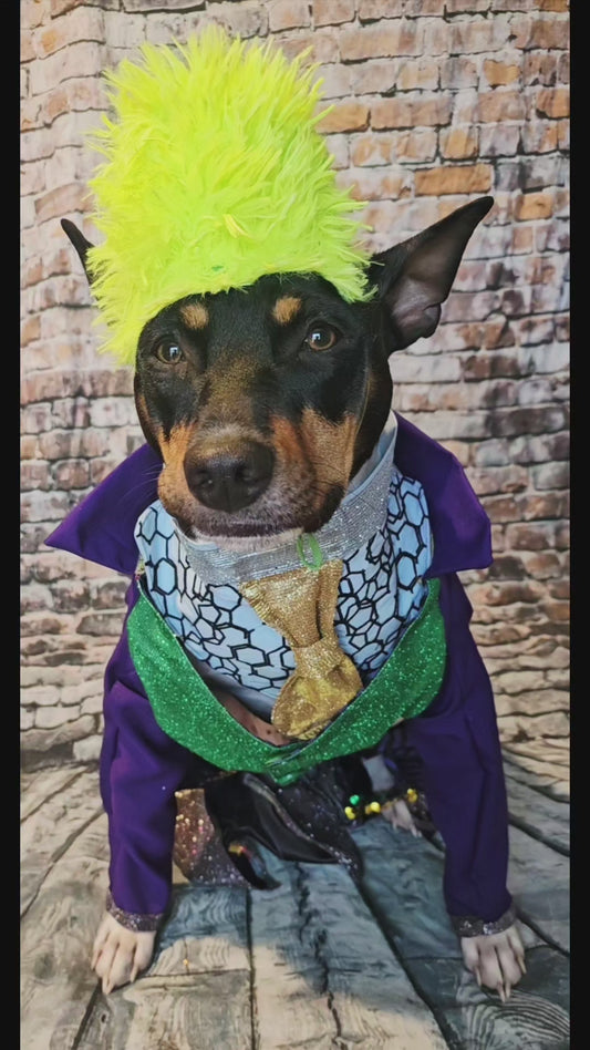 Joker pet costume, custom joker pet costume