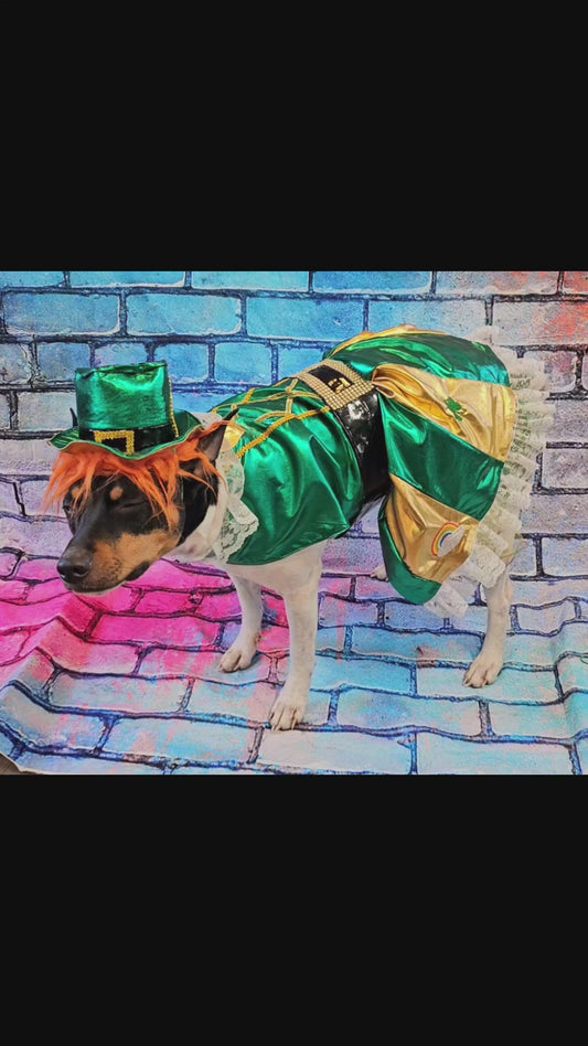 Leprechaun St. Patrick's Day pet costume