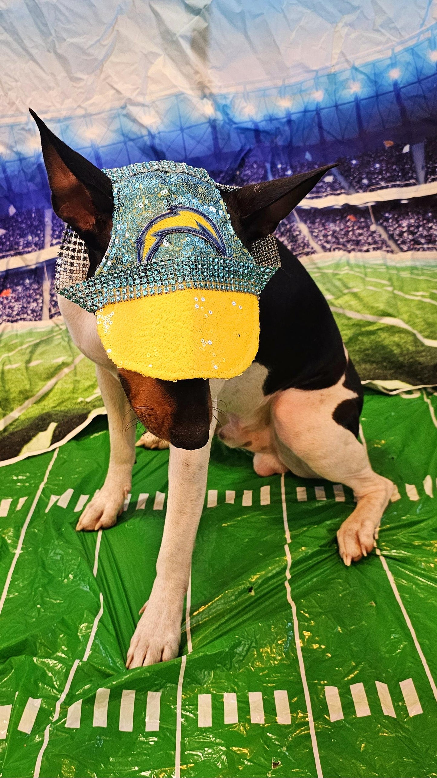 Pet sequin hat, pet nfl sequin hat, embroidered logo pet hat, dog nfl team hat, dog sequin hat, nfl team dog hat, nfl team cat hat, pet hats