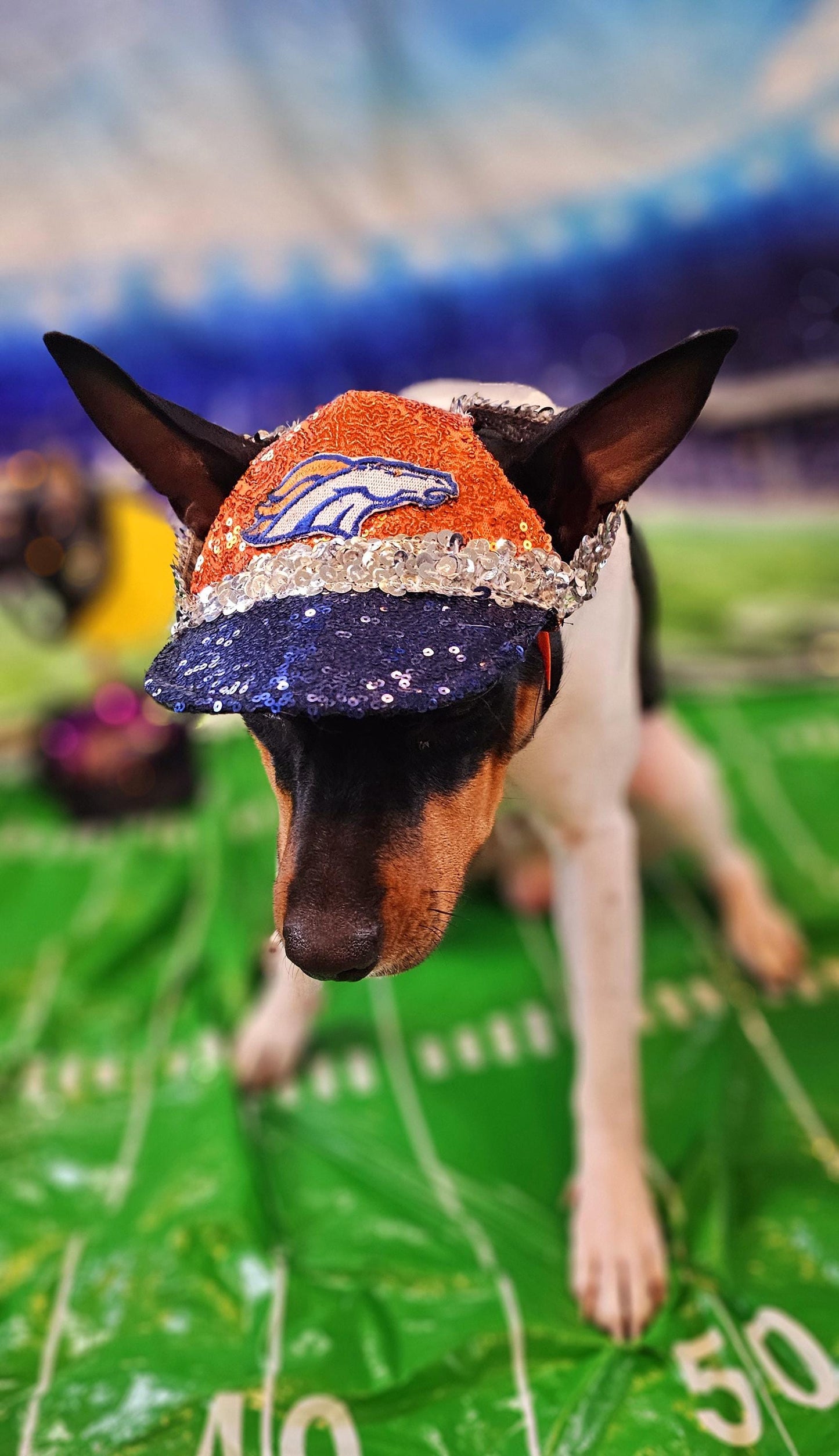 Pet sequin hat, pet nfl sequin hat, embroidered logo pet hat, dog nfl team hat, dog sequin hat, nfl team dog hat, nfl team cat hat, pet hats
